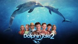 Câu Chuyện Cá Heo 2-Dolphin Tale 2