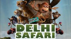 Cuộc Phiêu Lưu Của Chú Báo Đốm-Delhi Safari