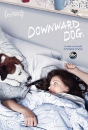 Góc Nhìn Của Chó (Phần 1)-Downward Dog 