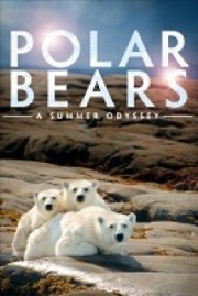 Gấu Bắc Cực-Polar Bears: A Summer Odyssey 