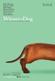 Giải Đua Chó Thế Giới-Wiener-Dog 