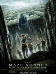 Giải Mã Mê Cung-The Maze Runner 