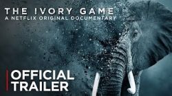 Kẻ Trộm Ngà Voi-The Ivory Game