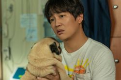 Tìm Nhà Cho Boss-My Heart Puppy