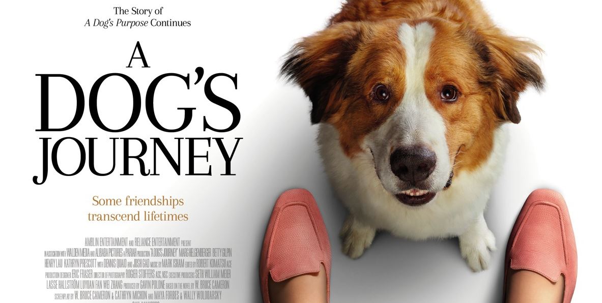 Hành Trình Của Chú Chó Bailey-A Dogs Journey
