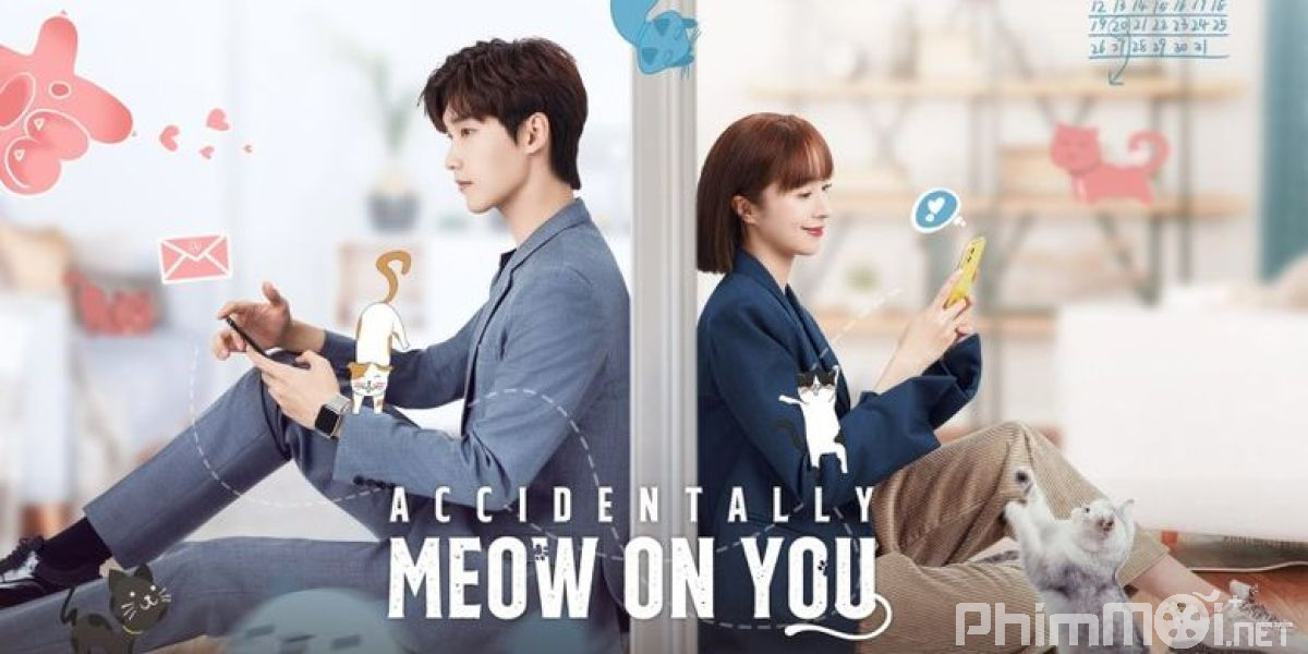 Bất Cẩn Meow Phải Anh-Accidentally Meow On You