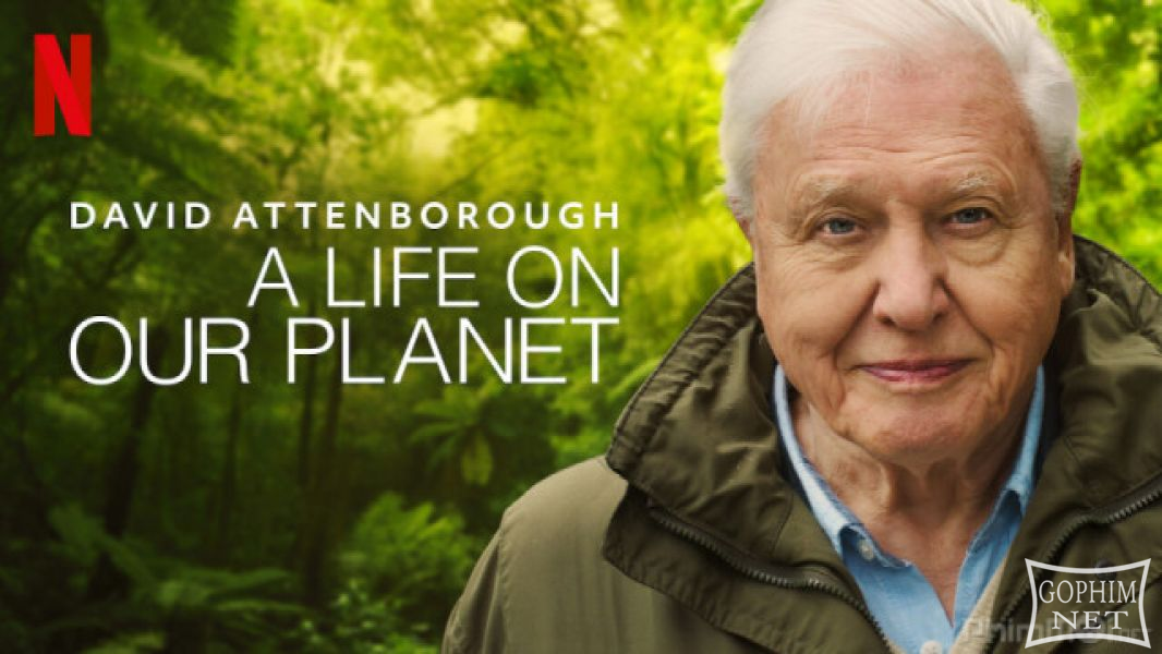 David Attenborough: Một Cuộc Đời Trên Trái Đất-David Attenborough: A Life on Our Planet
