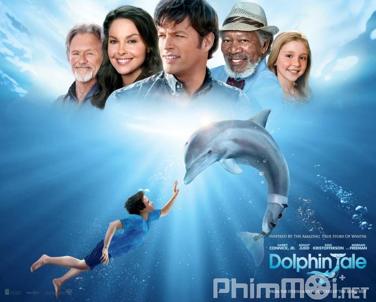 Câu Chuyện Cá Heo-Dolphin Tale