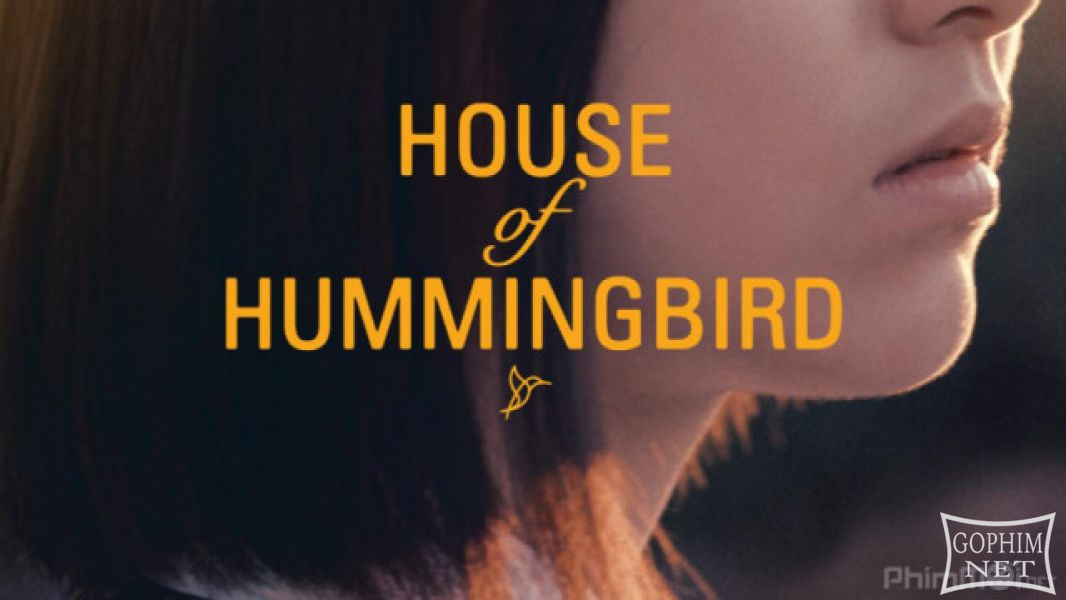 Tổ Của Chim Ruồi-House of Hummingbird