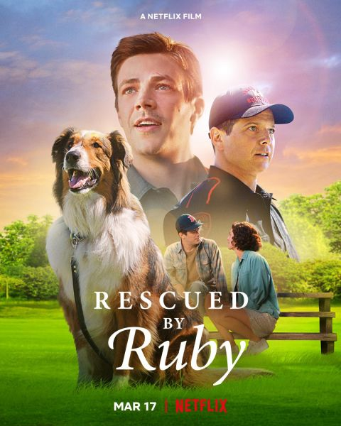 Chó Cứu Hộ Ruby-Rescued By Ruby